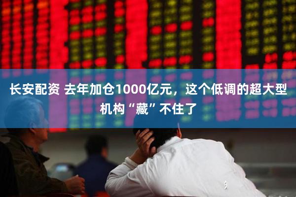 长安配资 去年加仓1000亿元，这个低调的超大型机构“藏”不住了