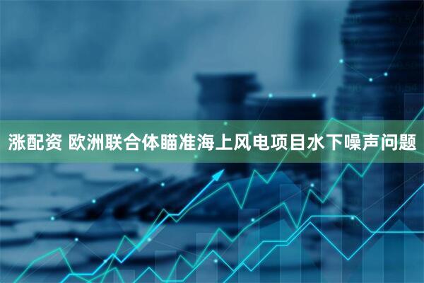 涨配资 欧洲联合体瞄准海上风电项目水下噪声问题